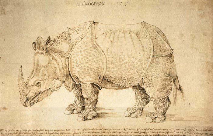Albrecht Durer Rhinoceros
